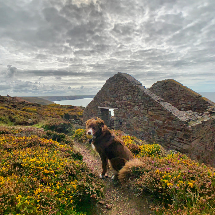 Wheal Coates Tin Mines