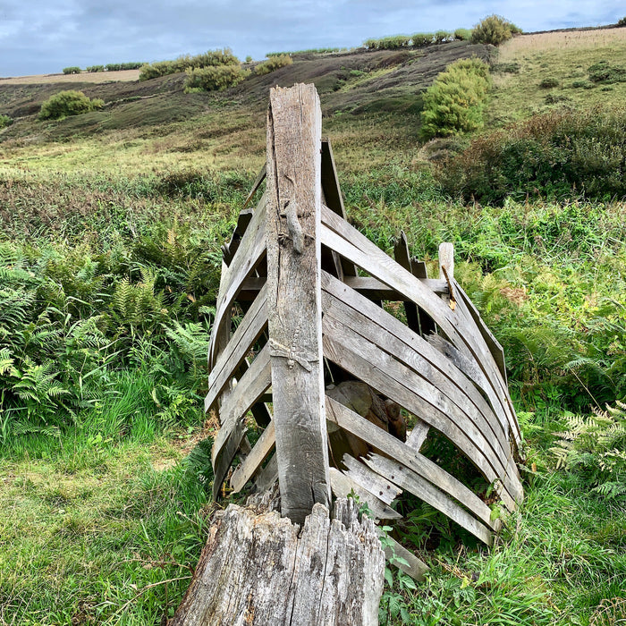 Park Head national trust conservation zone wood carvings on boat
