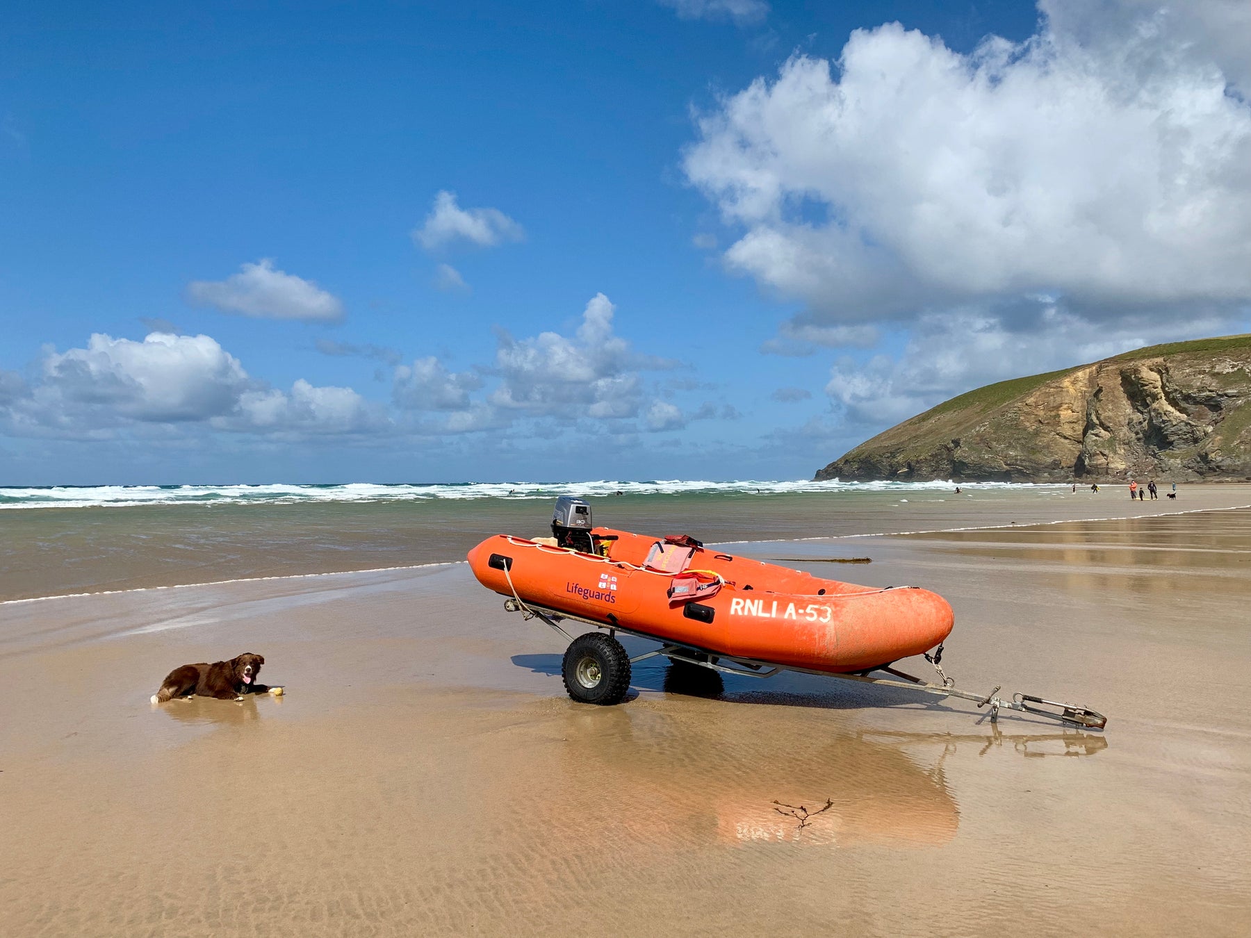 Sprocket and the rnli lifeguard on mawgan porth Newquay cornwall