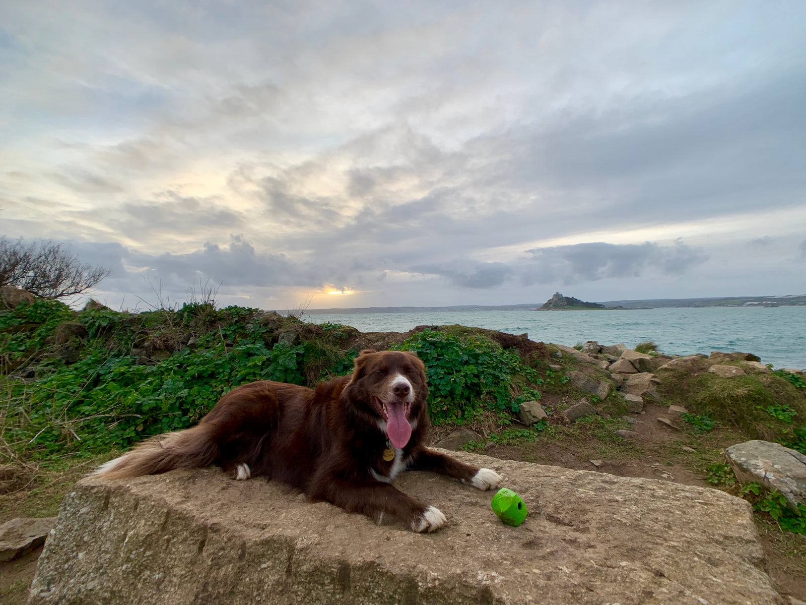 sprockies sprocket st michaels mount marazion cornwall