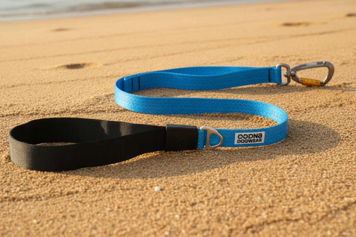 Blue and black dog leashes with a brand logo on a white background
