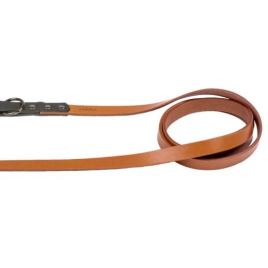 A brown leather dog leash with black accents and metal parts, featuring a buckle and a spike hook for attachment.