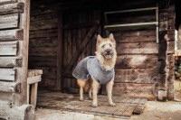 Rukka Micro Light Bathrobe, Pet Coat, Rukka Pets - Averys Motorcycles