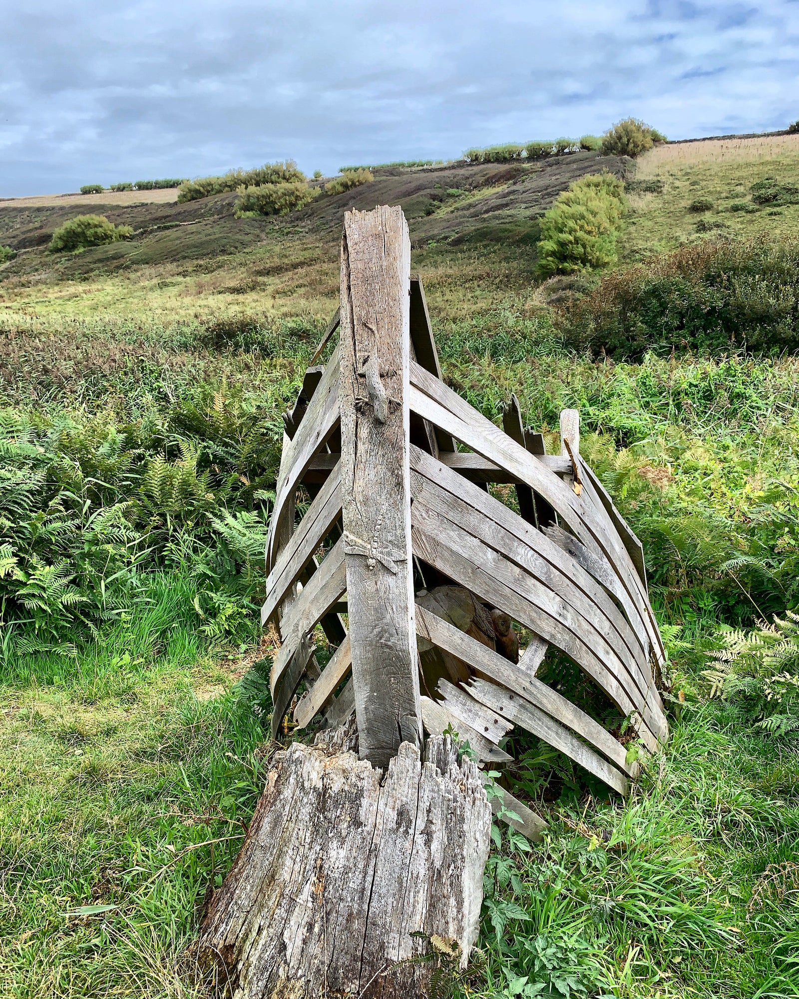 Park Head national trust conservation zone wood carvings on boat