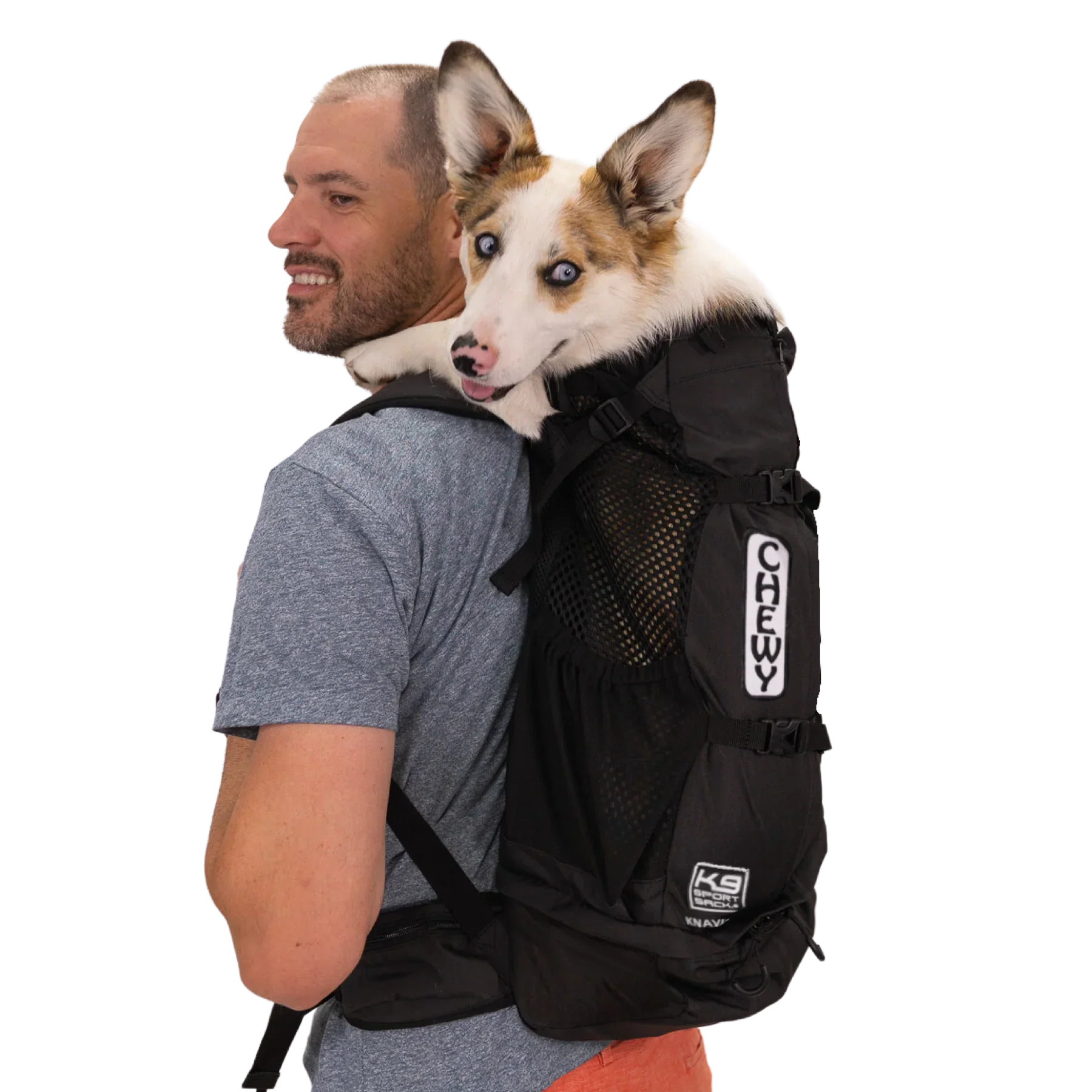 K9 Sport Sack Knavigate