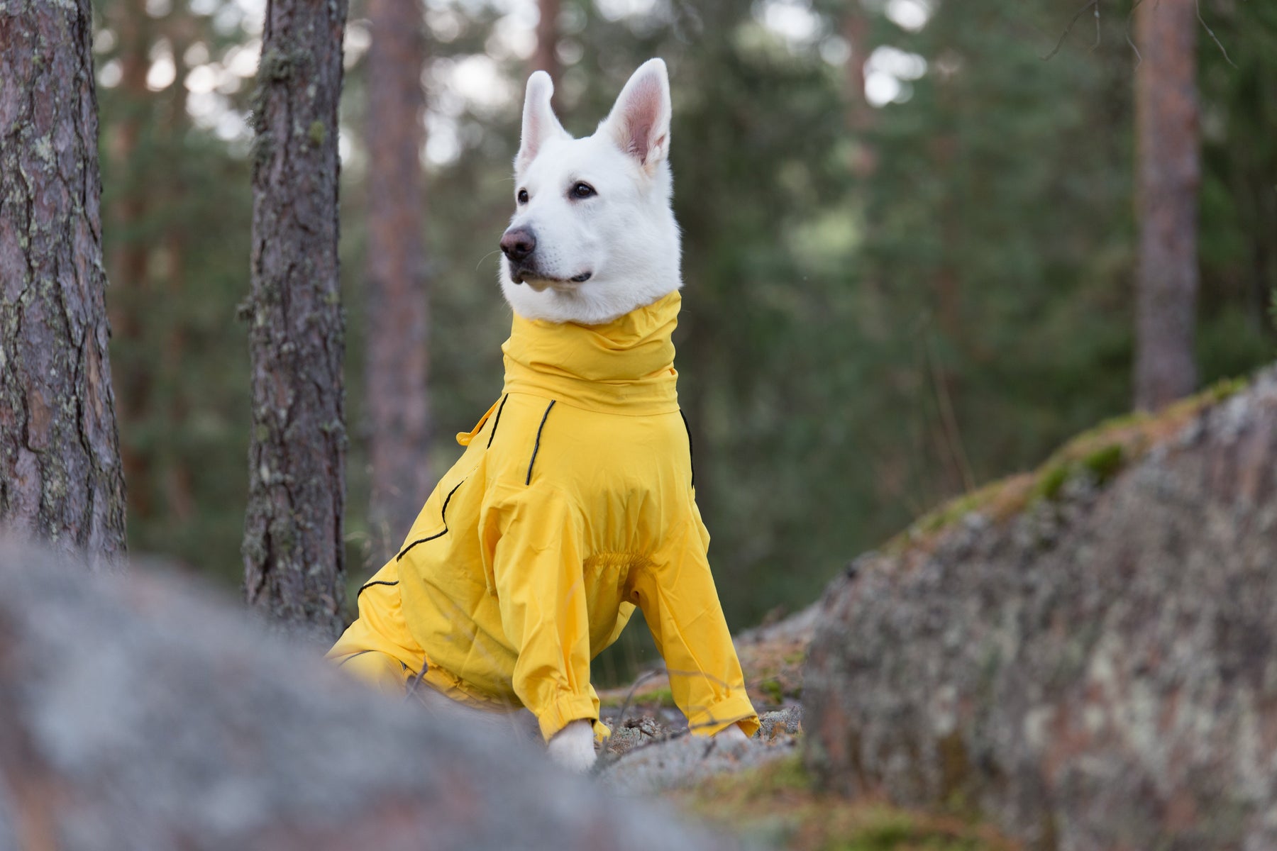 Rukka Pets Protect Overall