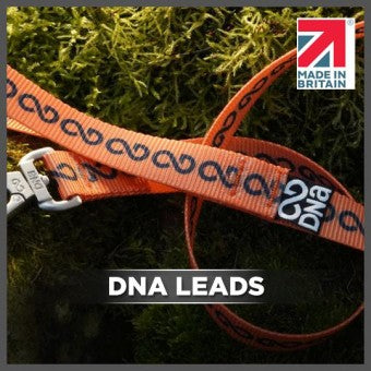 DNA
