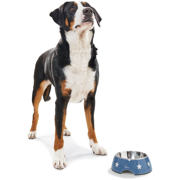 Hunter Dog Bowls