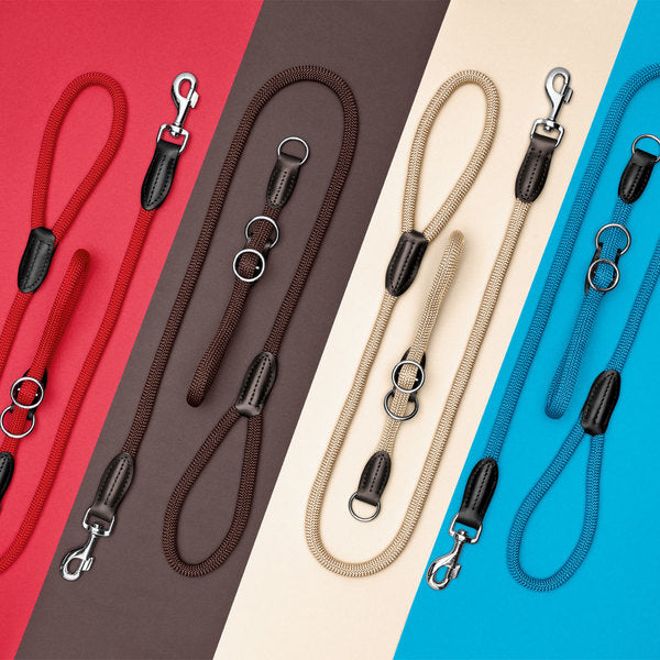 Hunter Dog Leads and Leashes — sprockies