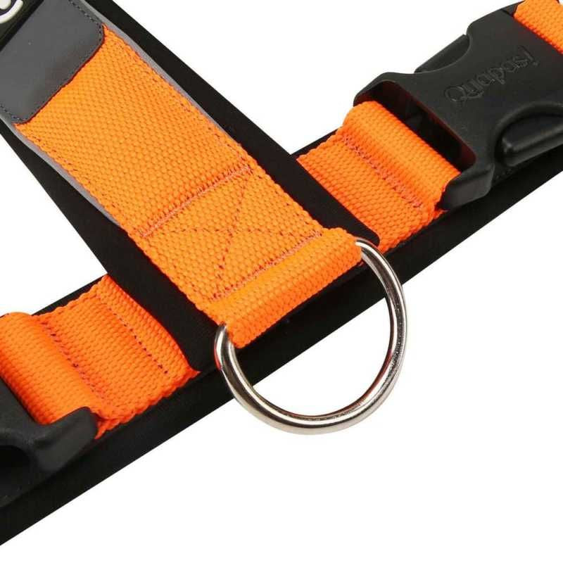 Easy Slip On Harness