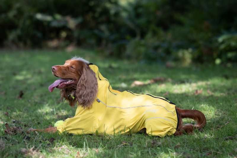 Protect Overall