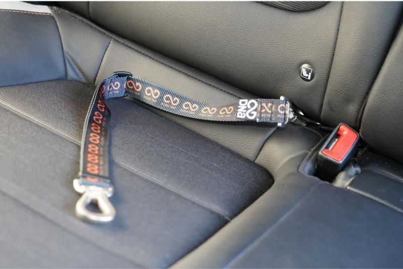 Road Trip Anchor Tether