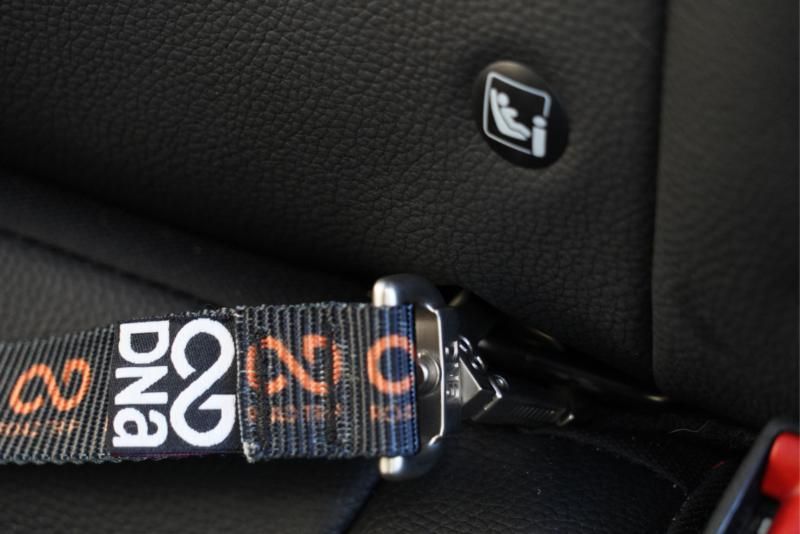 Road Trip Anchor Tether