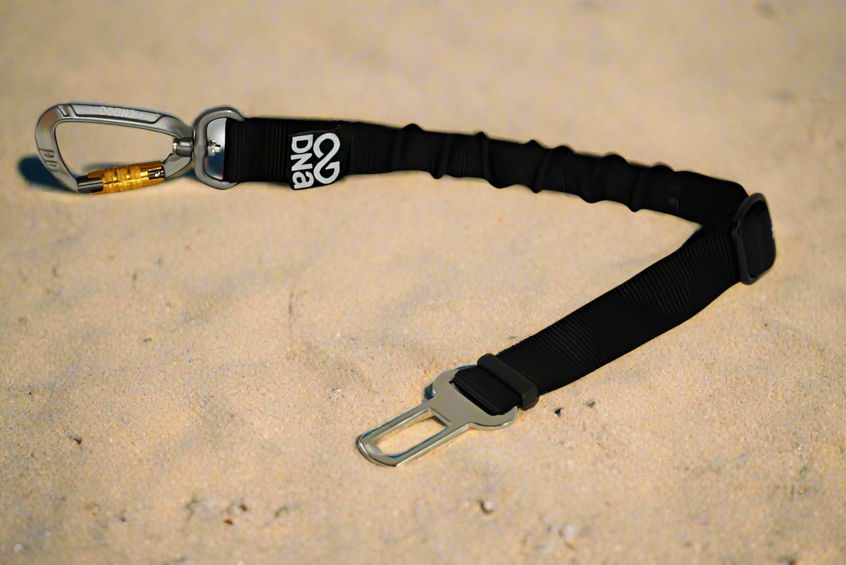 Road Trip Anchor Tether