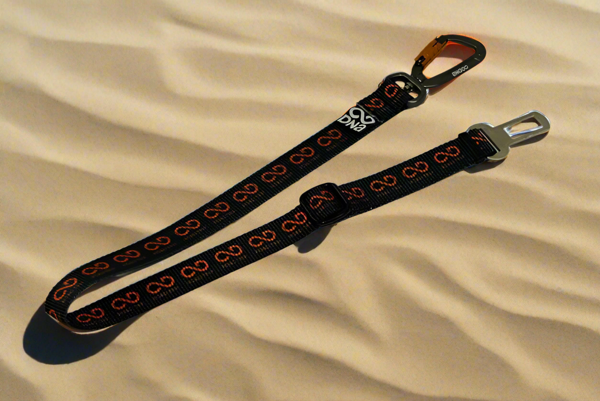 Road Trip Seat Belt Tether