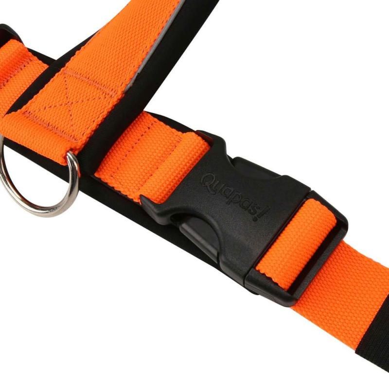 Easy Slip On Harness