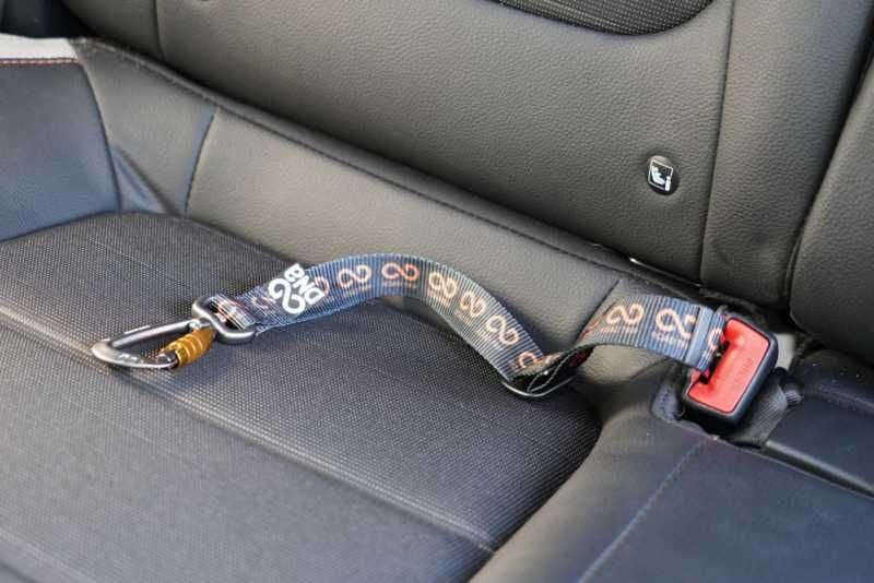Road Trip Seat Belt Tether