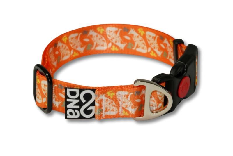 A black dog wearing an orange and rust-colored collar with a metal buckle, sitting on grass with a body of water and trees in the background.