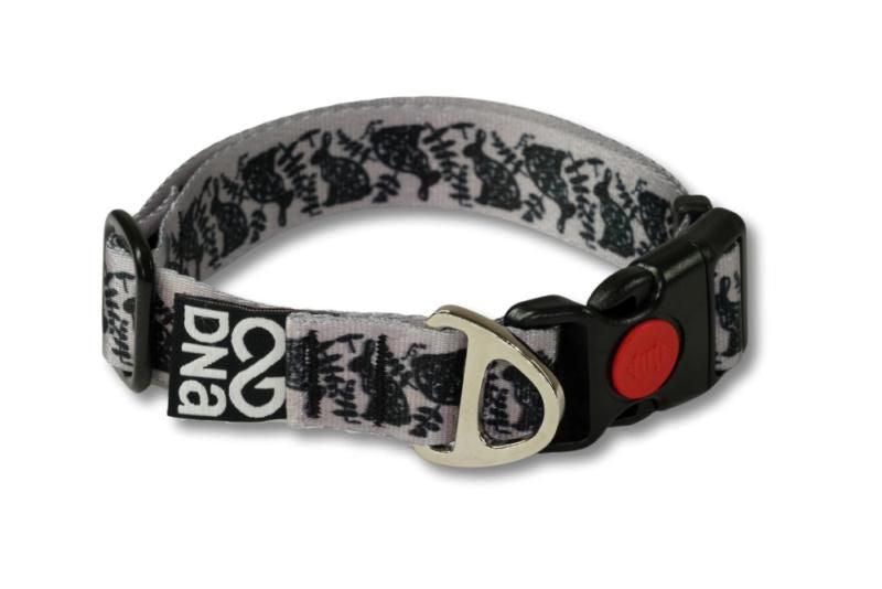 A black dog wearing a collar with a patterned leash attached.