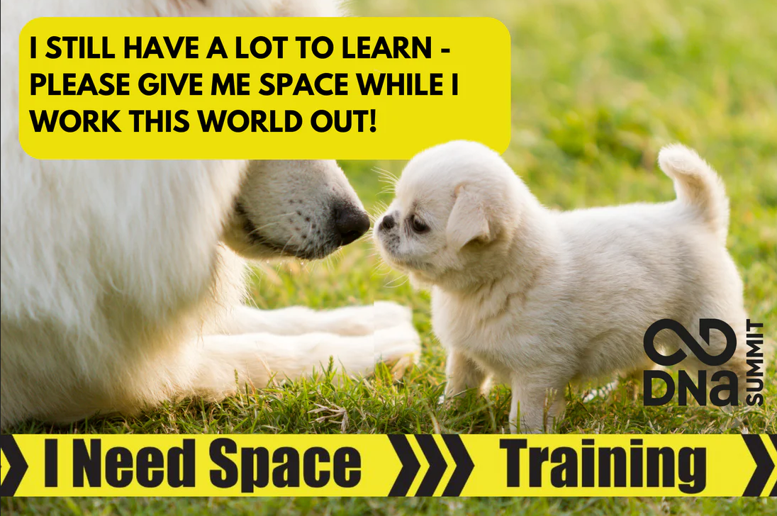 Summit Pro - Training