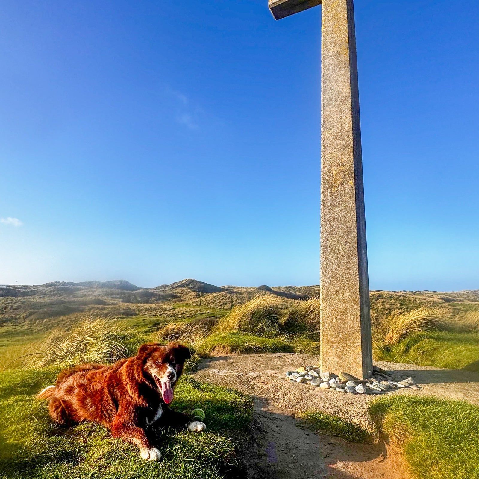 Dog lying on grass near a large stone cross against a clear blue sky.
