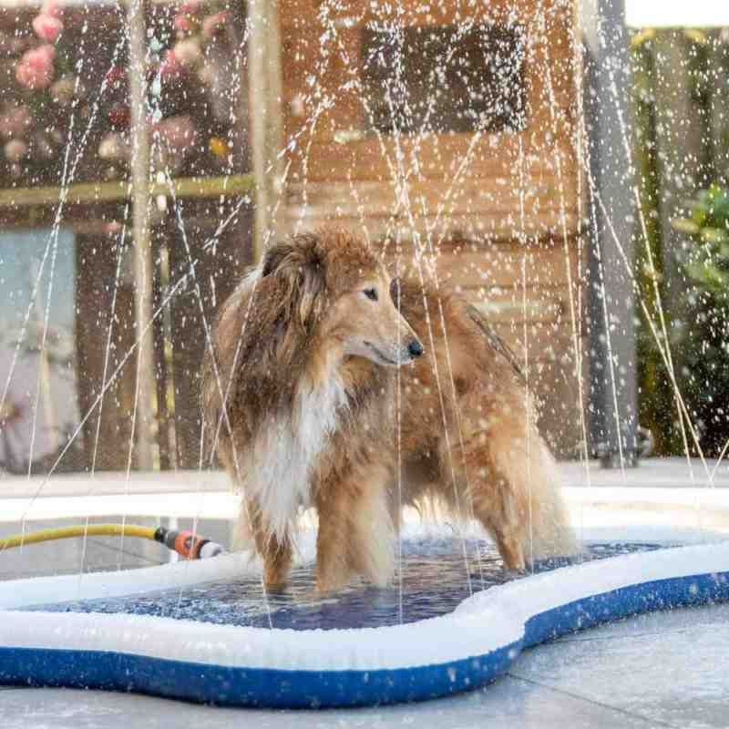 Sprinkle Cooling Mat