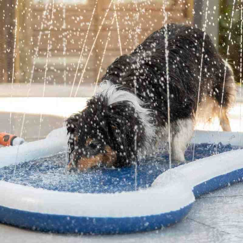 Sprinkle Cooling Mat