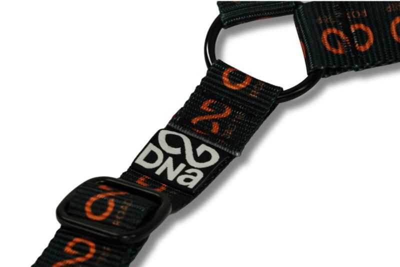 Road Trip Head Rest Tether