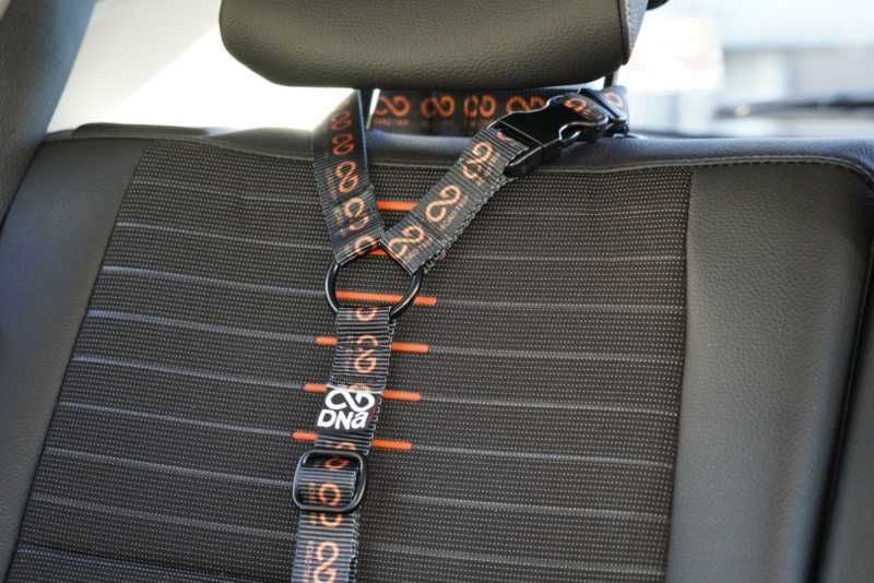 Road Trip Head Rest Tether