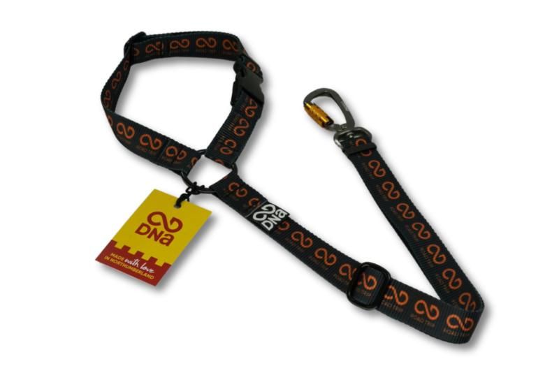 Road Trip Head Rest Tether