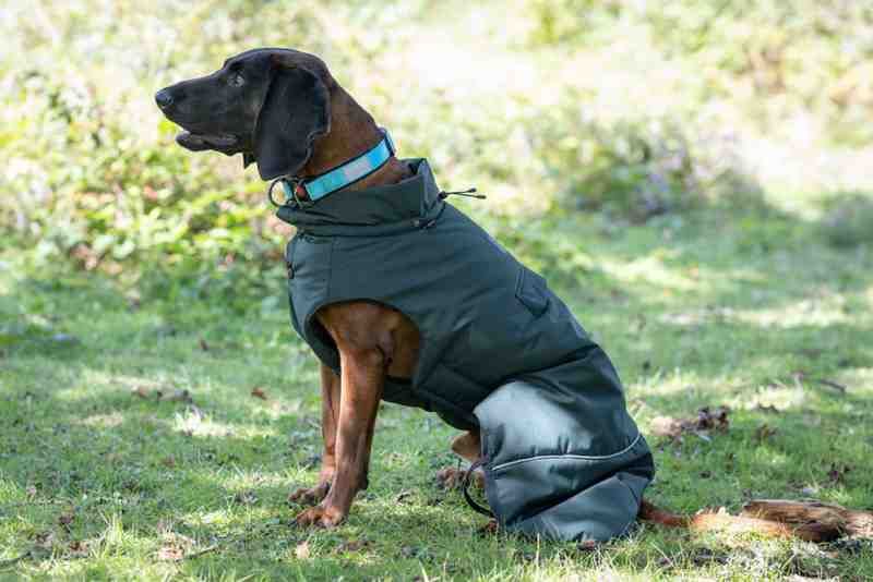 Frostbiter Parka