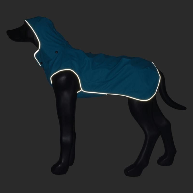 Stream Raincoat