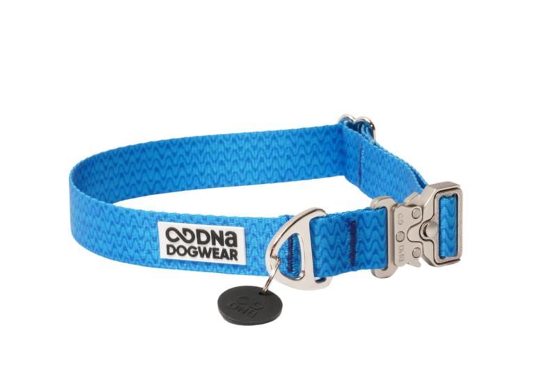 Blue dog collar with metal buckle and brand logo on a white background