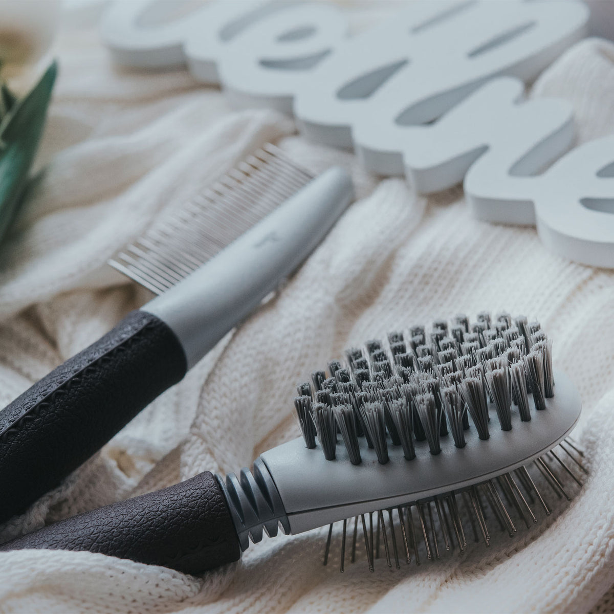 Brushing &amp; Grooming