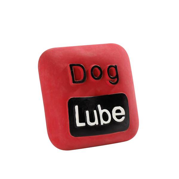 Dog App Toy