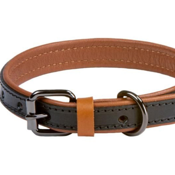 A two-toned leather dog collar in black and brown with a buckle and metal parts, featuring a soft inner lining.