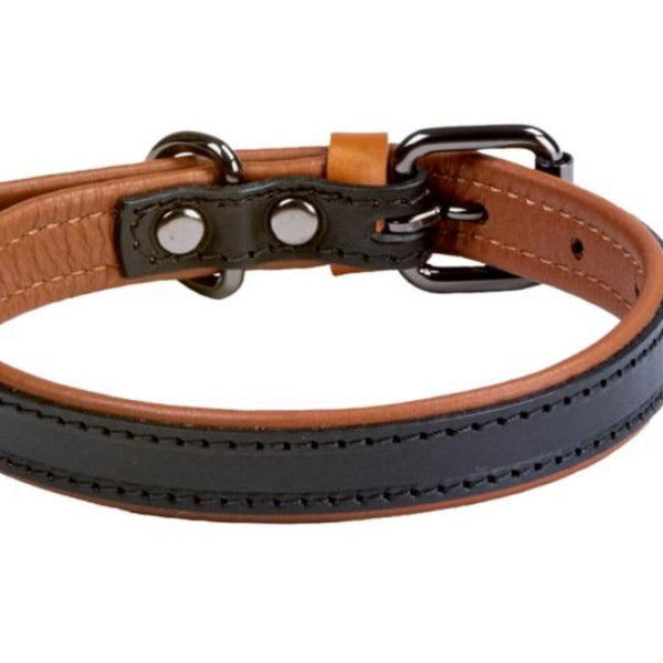 A two-toned leather dog collar in black and brown with a buckle and metal parts, featuring a soft inner lining.