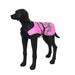 Rukka Flap Safety Vest, Pet Safety Wear, Rukka Pets - Averys Motorcycles