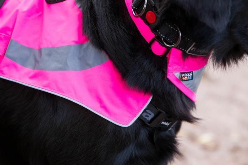 Rukka Flap Safety Vest, Pet Safety Wear, Rukka Pets - Averys Motorcycles