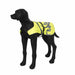 Rukka Flap Safety Vest, Pet Safety Wear, Rukka Pets - Averys Motorcycles