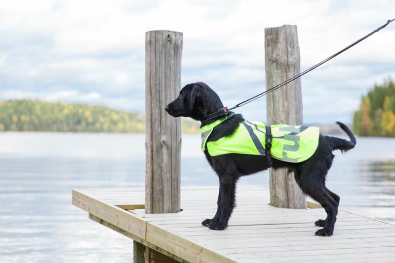 Rukka Flap Safety Vest, Pet Safety Wear, Rukka Pets - Averys Motorcycles