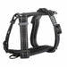 Rukka Form Harness, Pet Harness, Rukka Pets - Averys Motorcycles