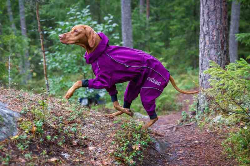 Rukka dog shop coats uk