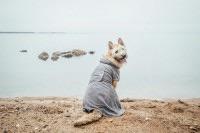 Rukka Micro Light Bathrobe, Pet Coat, Rukka Pets - Averys Motorcycles